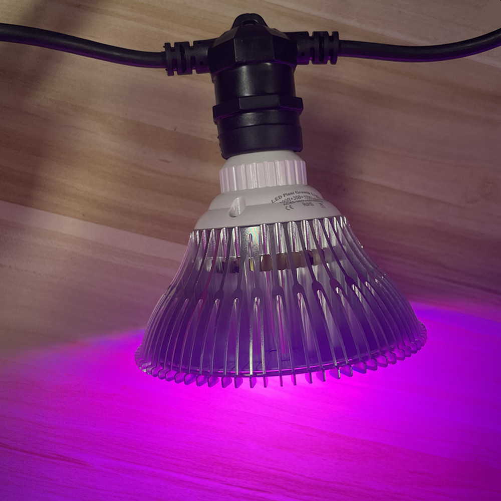 سلسلة إضاءة LED بطول 10 أمتار، - مراجعة Outdoor Lighting Strip وسعره